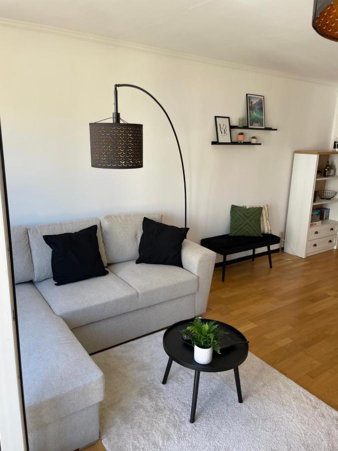 Appartement place Léopold 1er à la panne à 100m de la plage Esterno foto