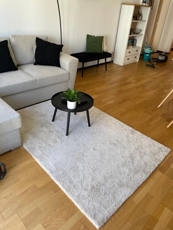 Appartement place Léopold 1er à la panne à 100m de la plage Esterno foto